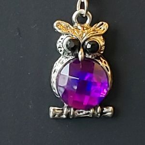 NWT Owl Necklace with Purple Stone and 20" Chain